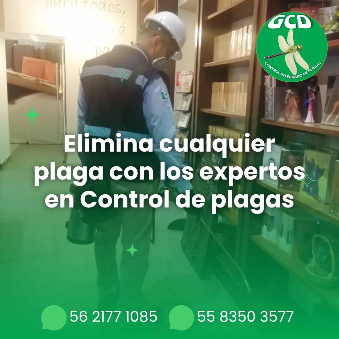 Diseño 24