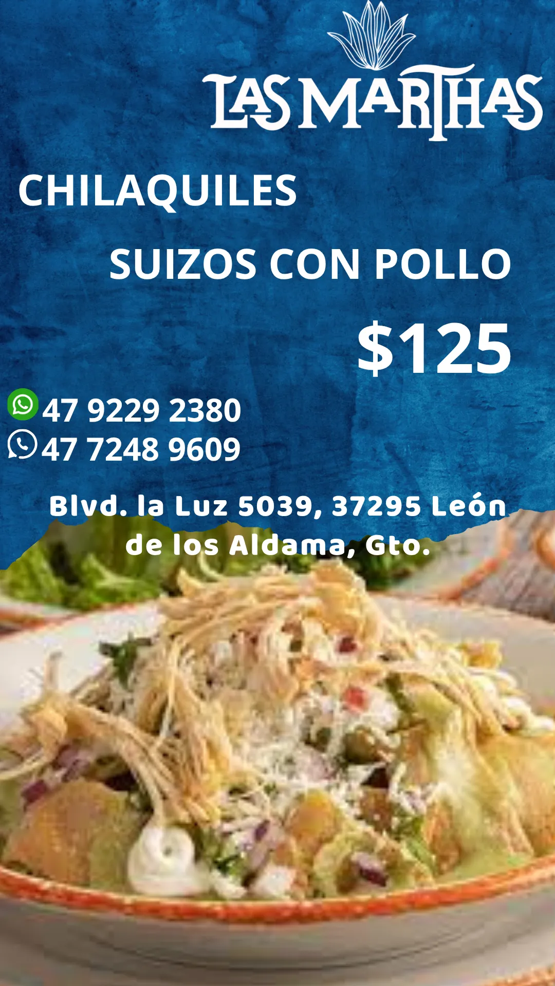 Diseño 102