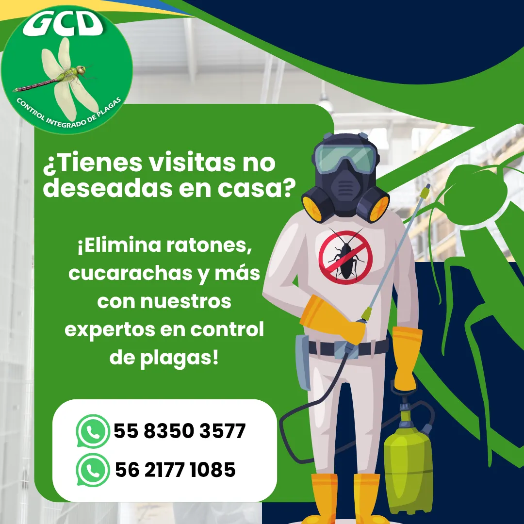 Diseño 3