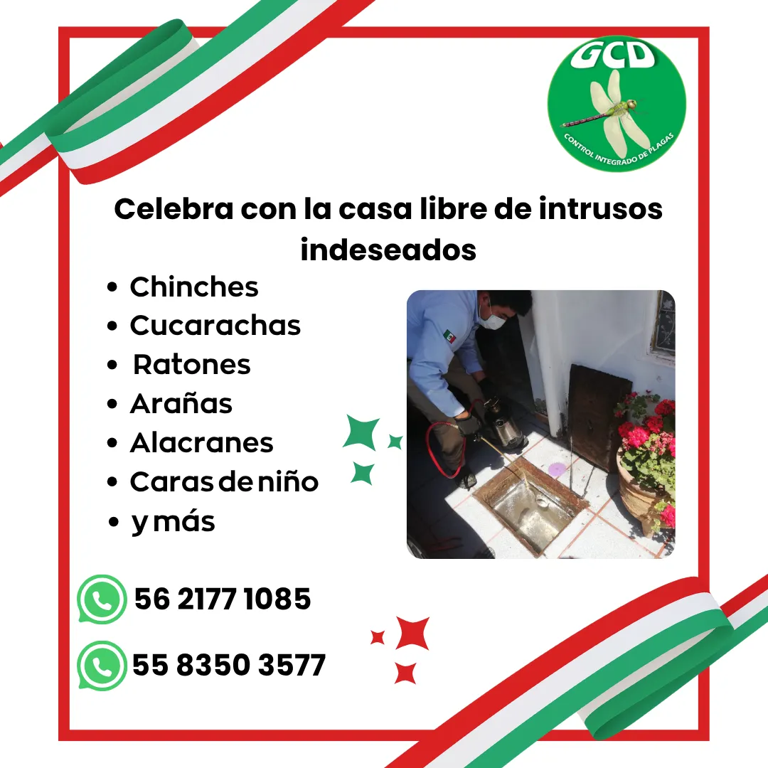 Diseño 90
