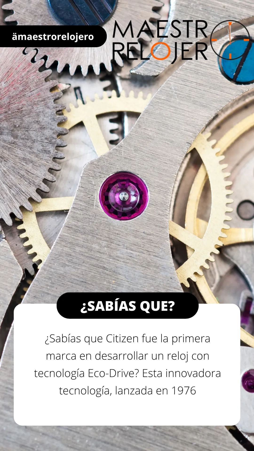 Diseño 70