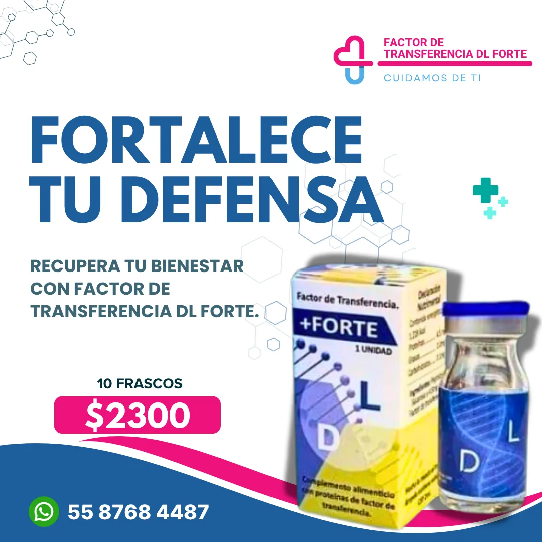 Diseño 12