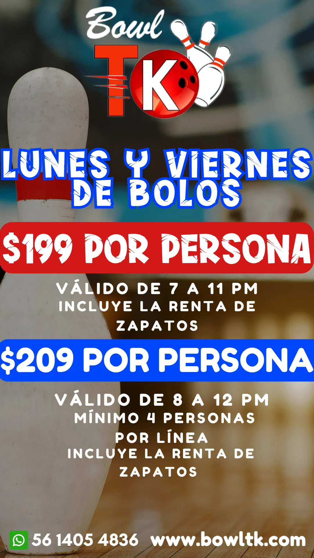 Diseño 48