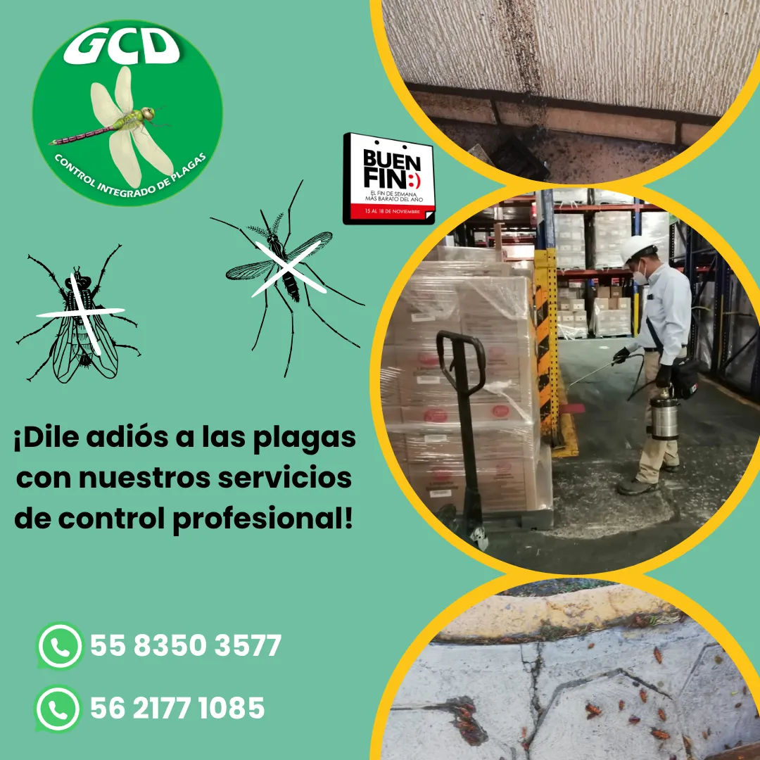 Diseño 133