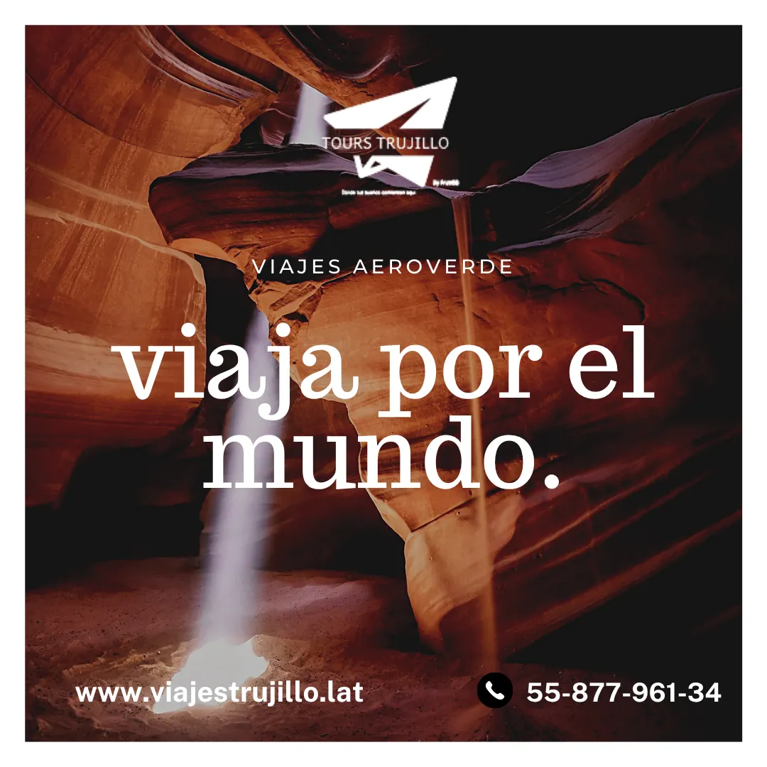 Diseño 15