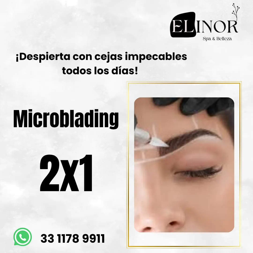 Diseño 53