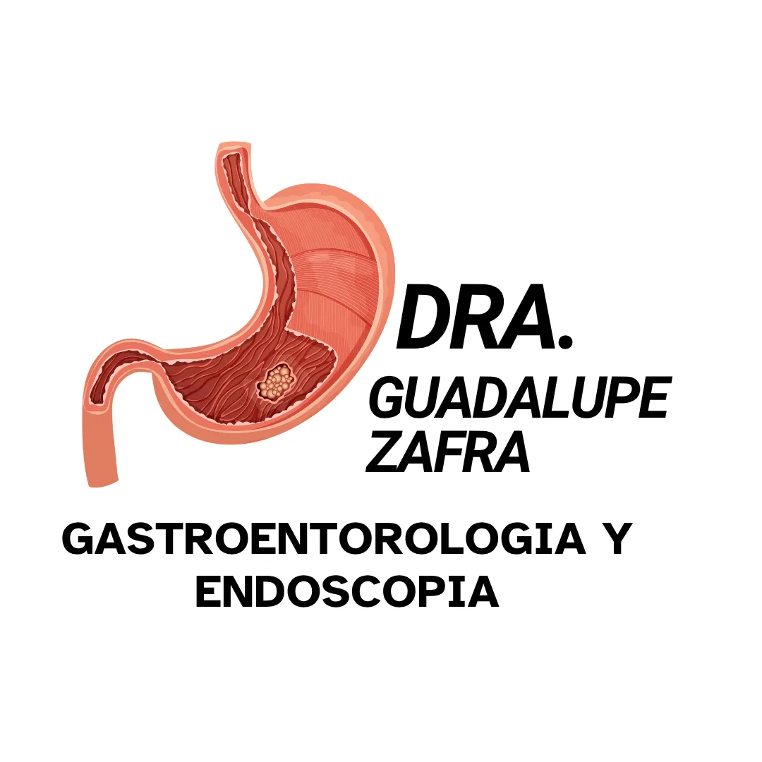 Diseño 62