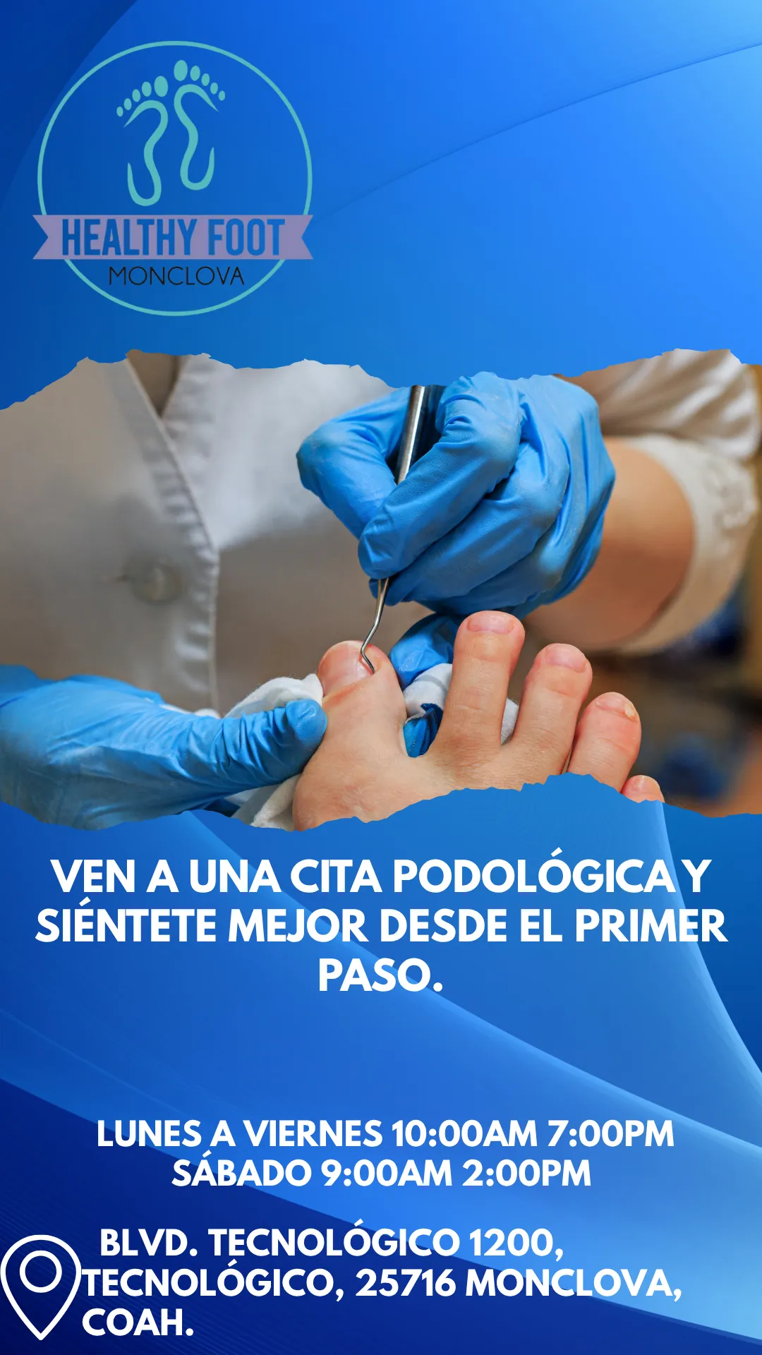 Diseño 117