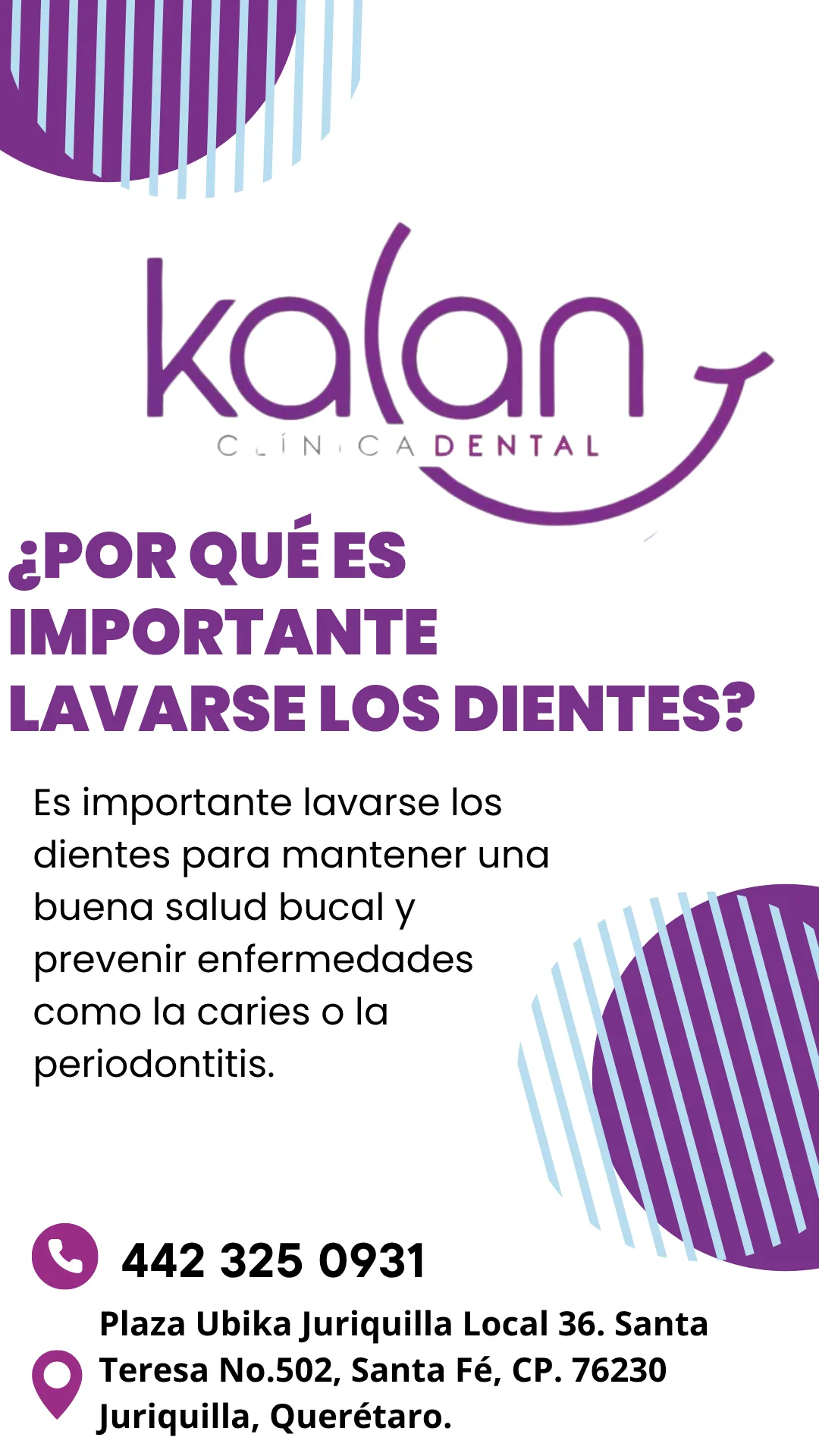 Diseño 41