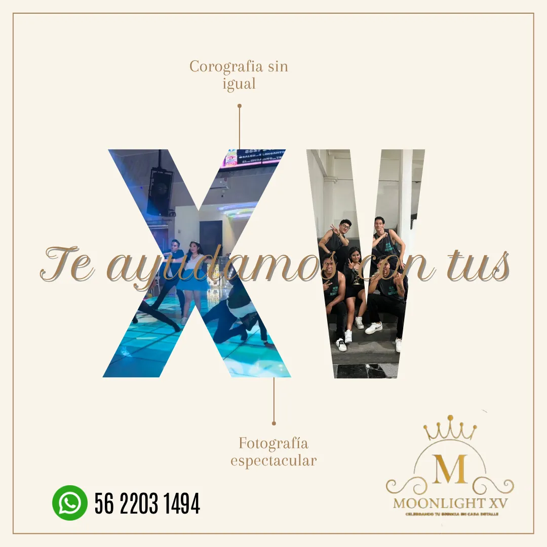 Diseño 19