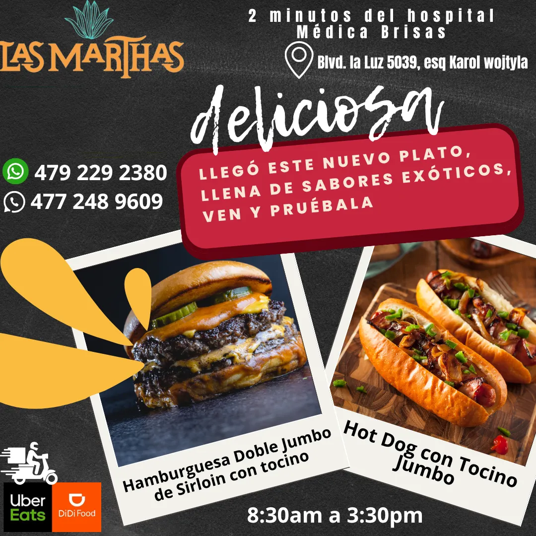 Diseño 141