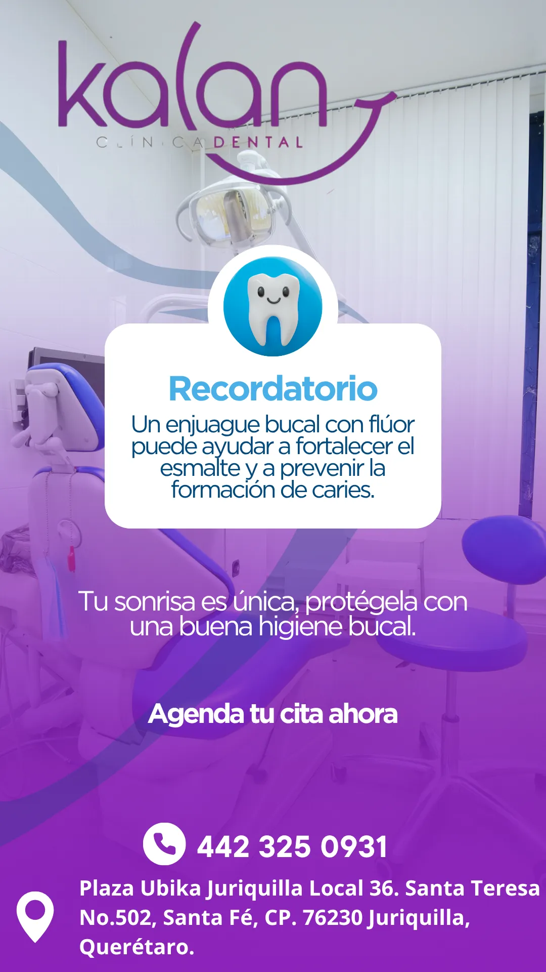 Diseño 55