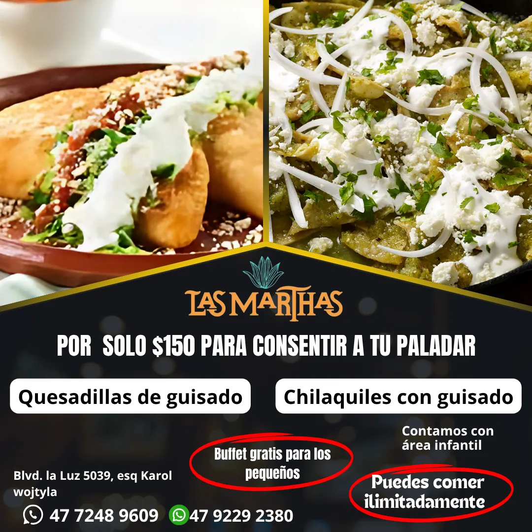 Diseño 110