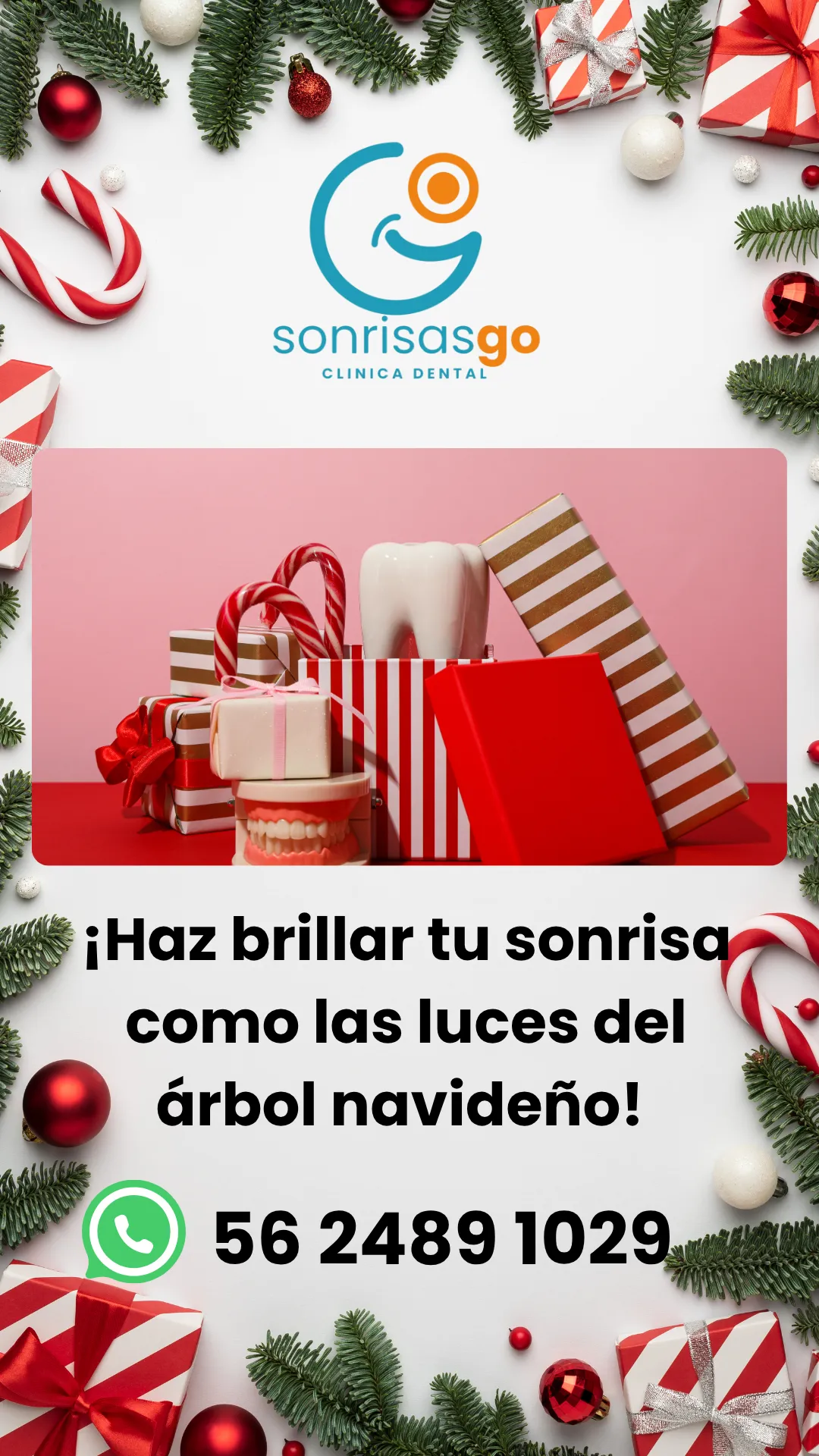 Diseño 47