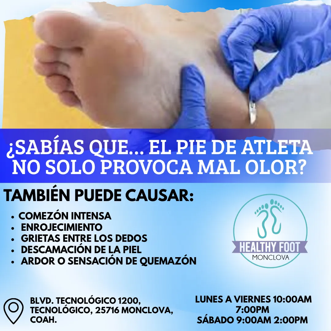 Diseño 142
