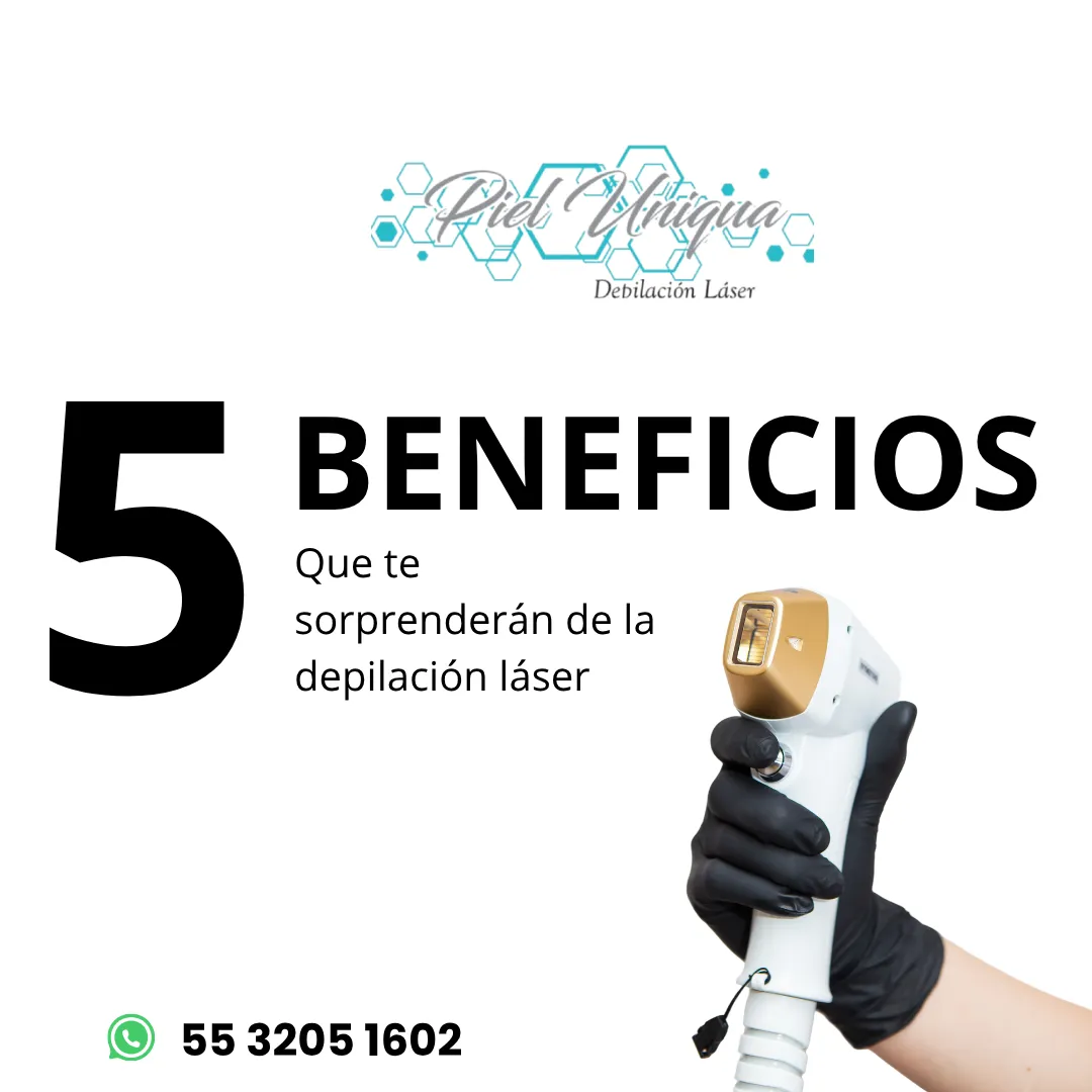 Diseño 12