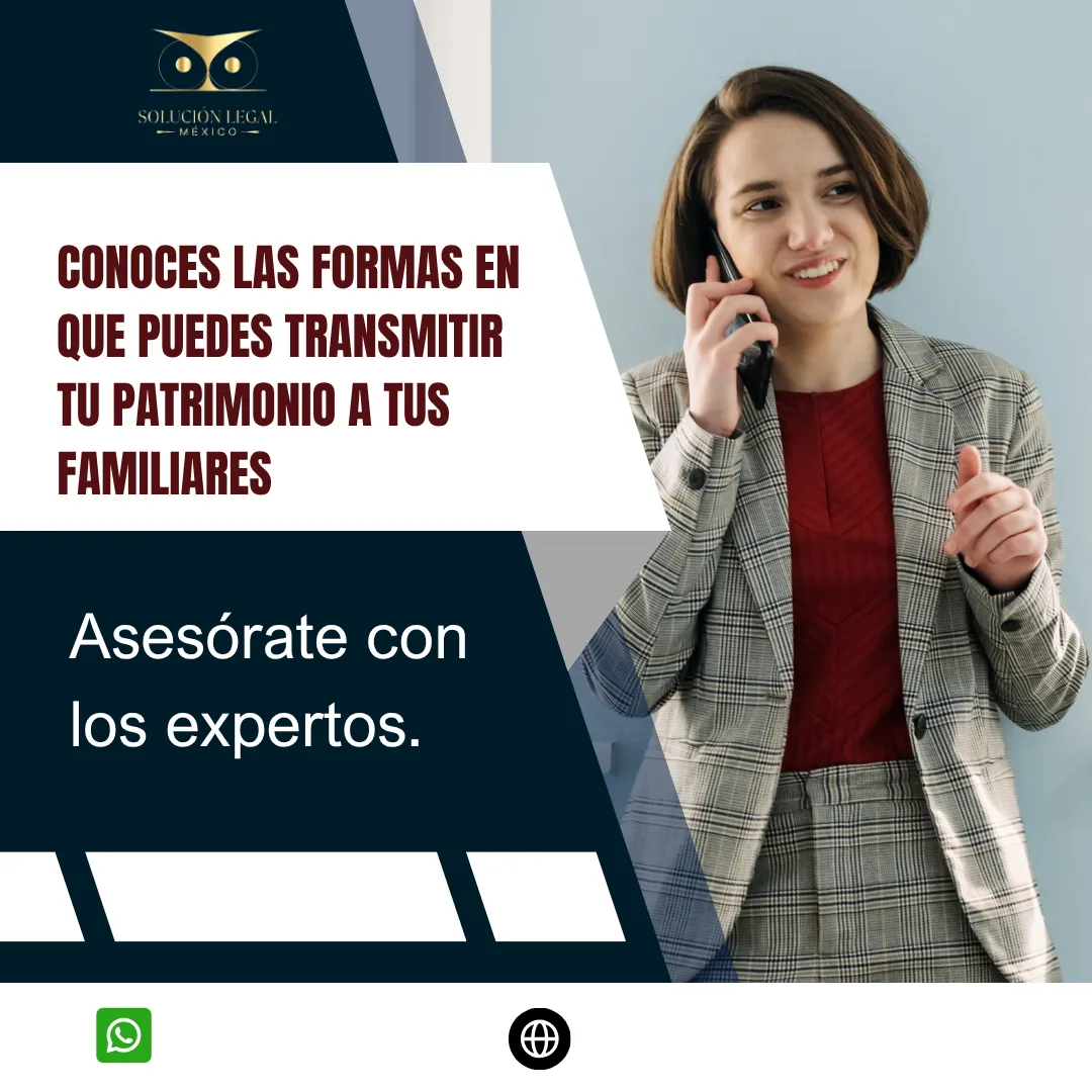 Diseño 133