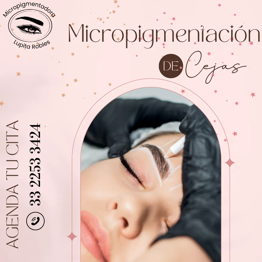 Diseño 55