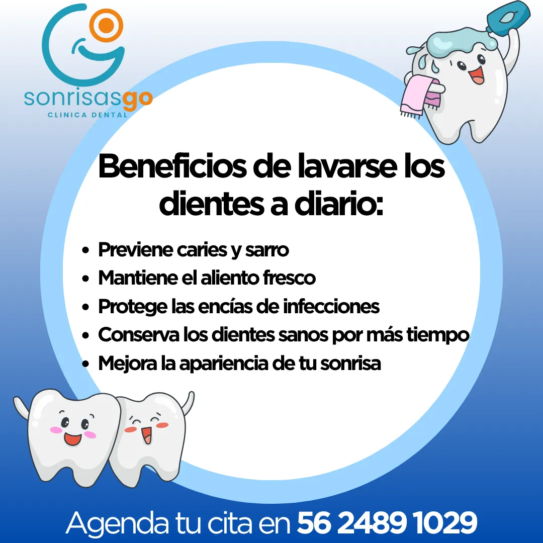 Diseño 44