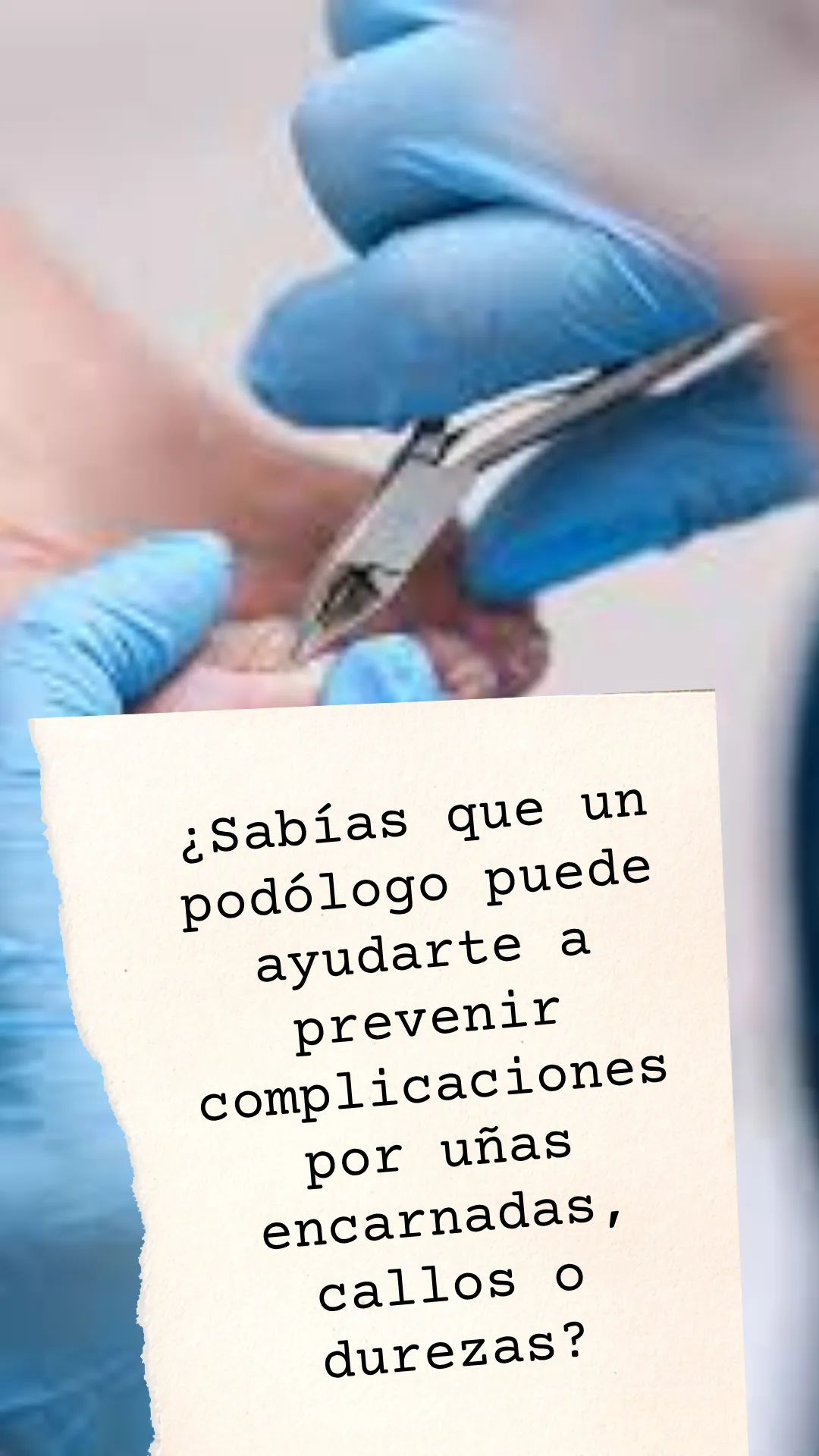 Diseño 92
