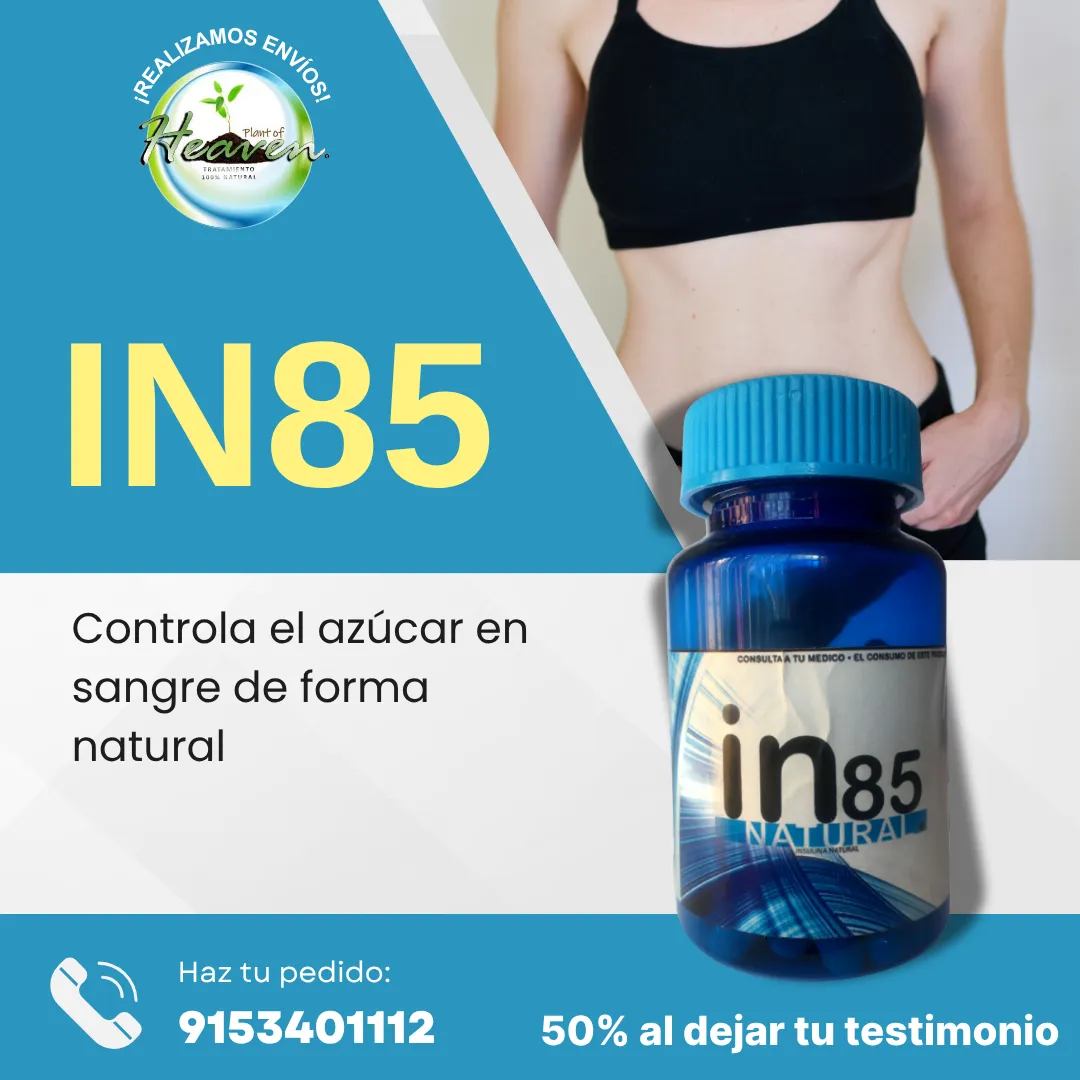 Diseño 18