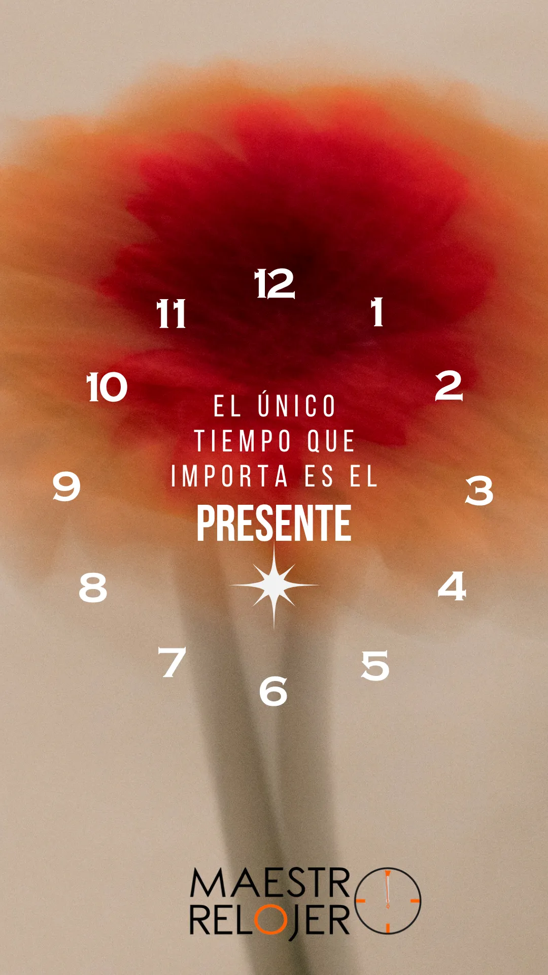 Diseño 133