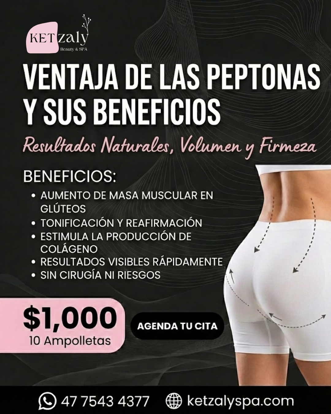 Diseño 61