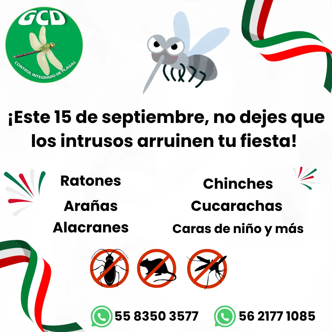 Diseño 74