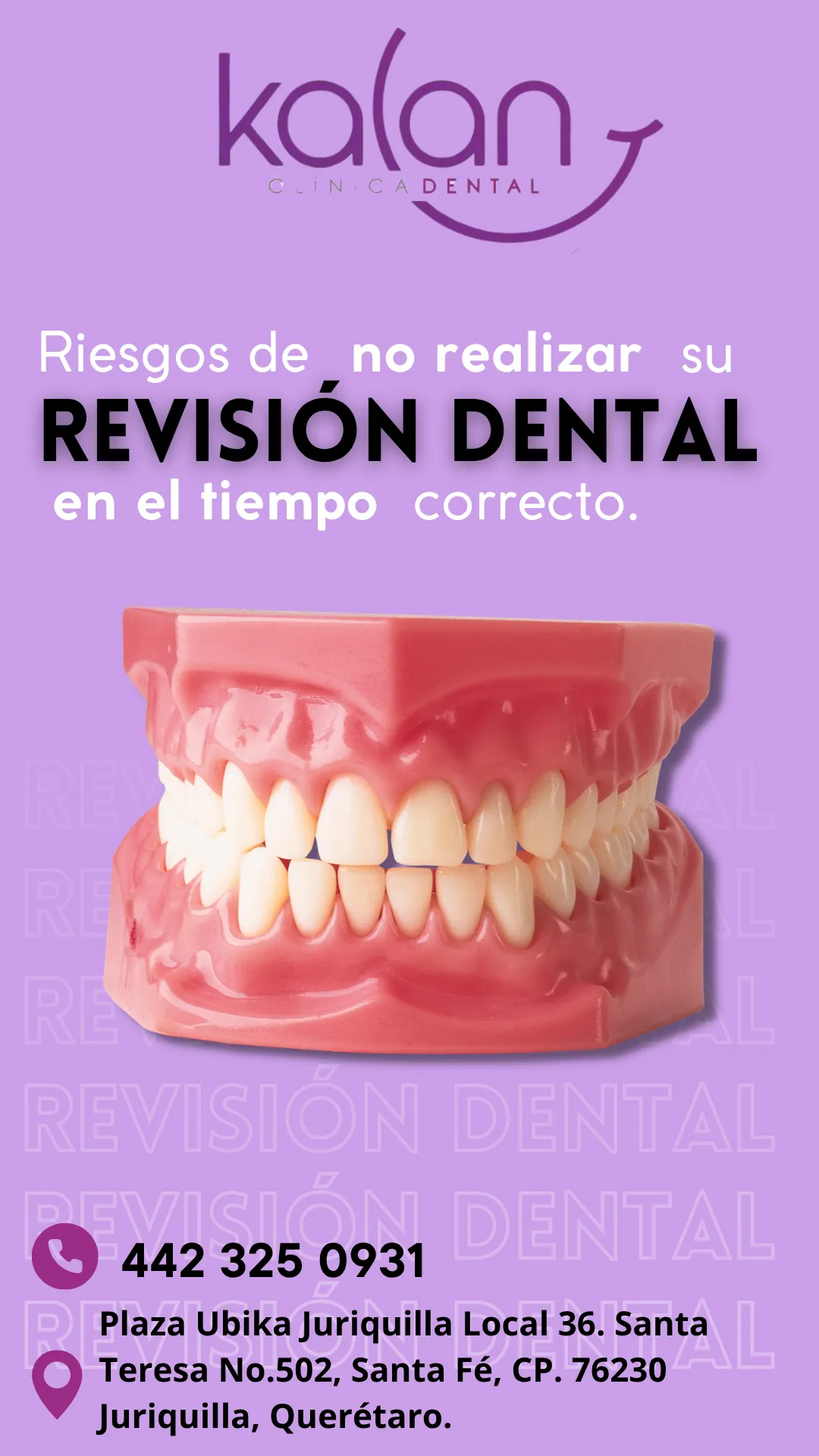 Diseño 17