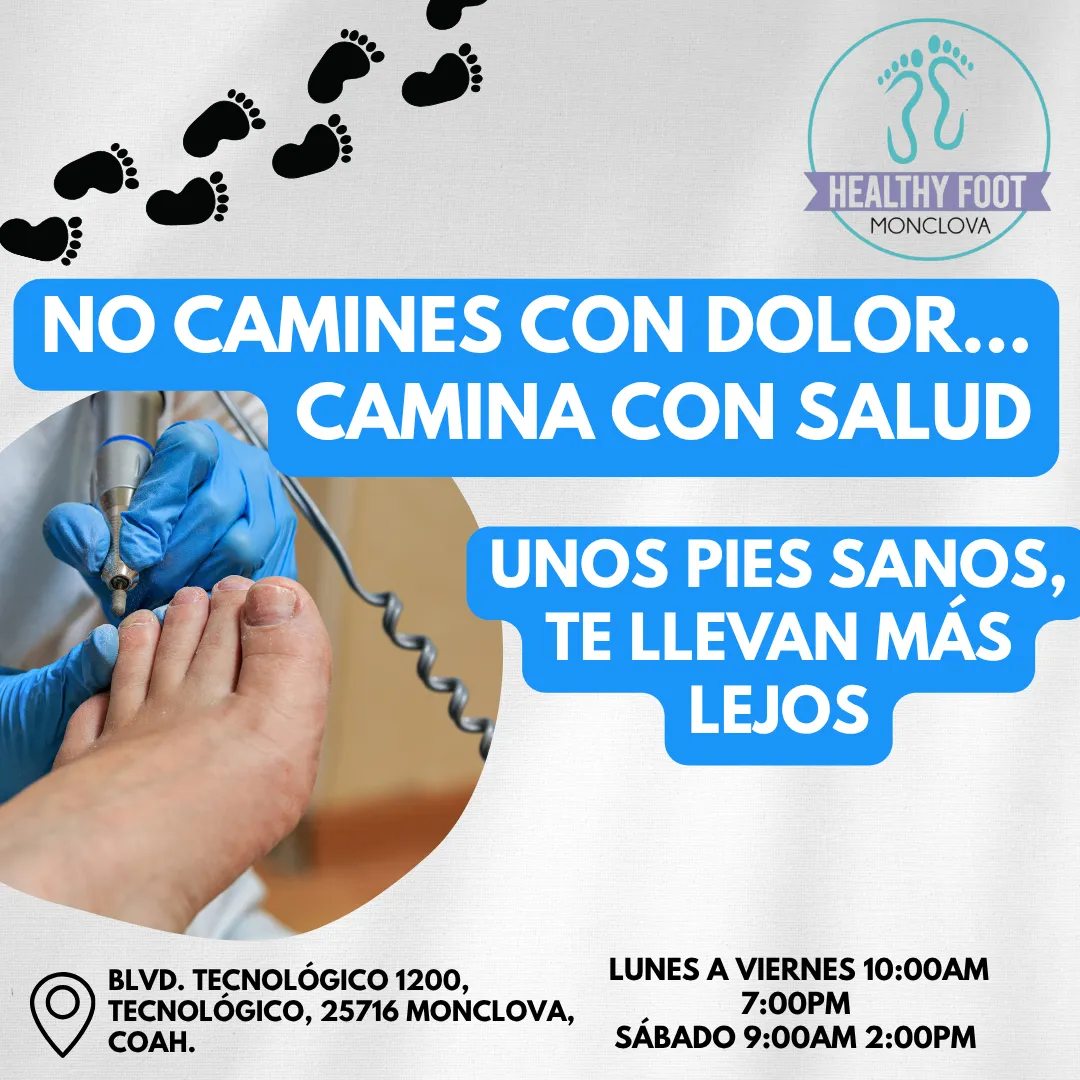 Diseño 130