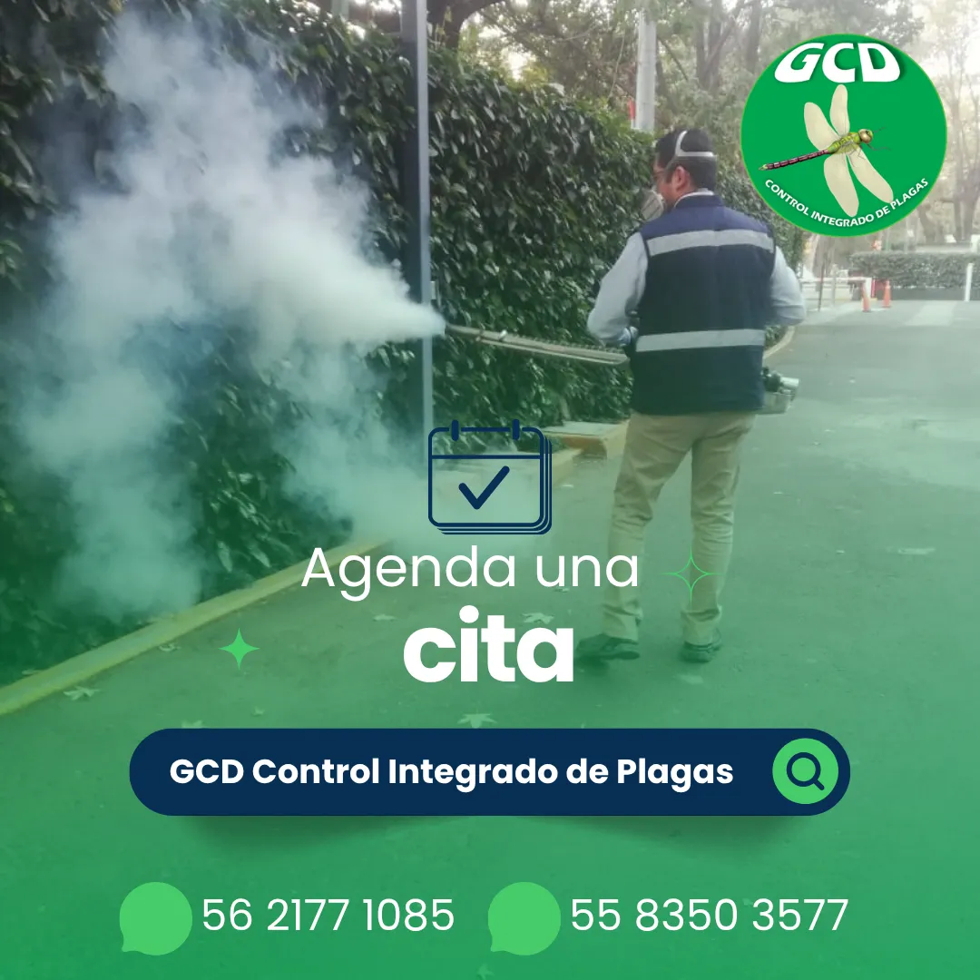 Diseño 22
