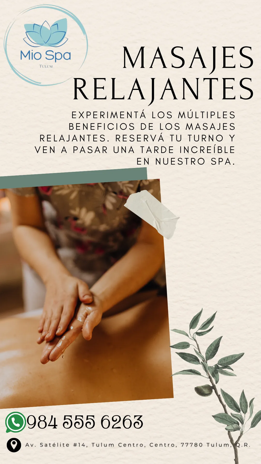 Diseño 26
