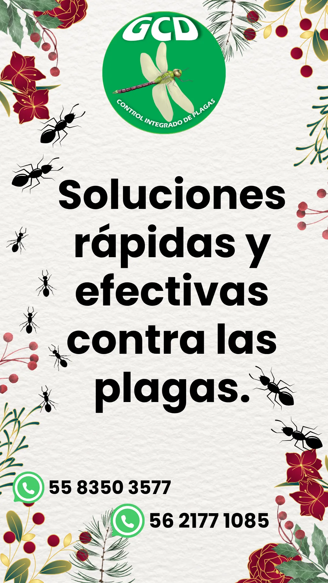 Diseño 23