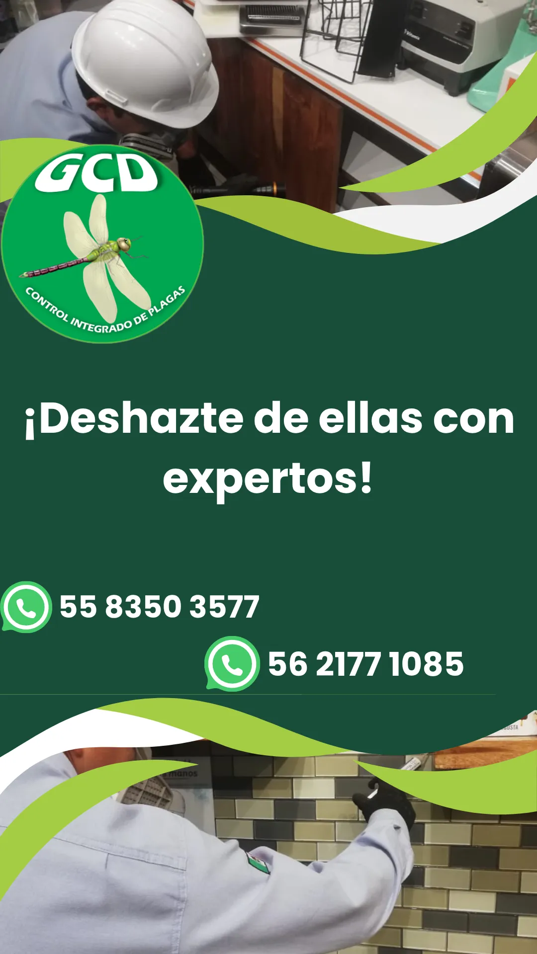 Diseño 132