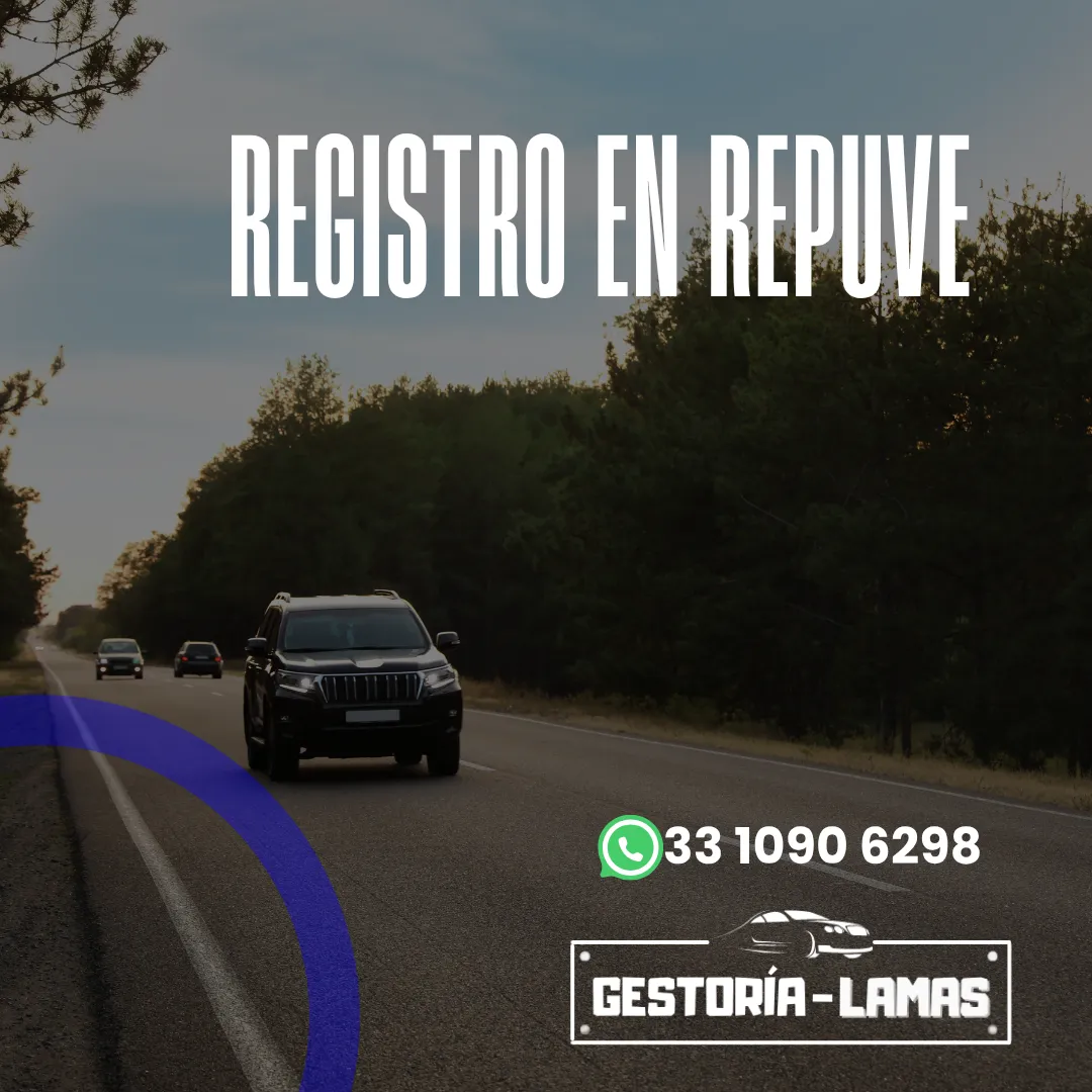 Diseño 31