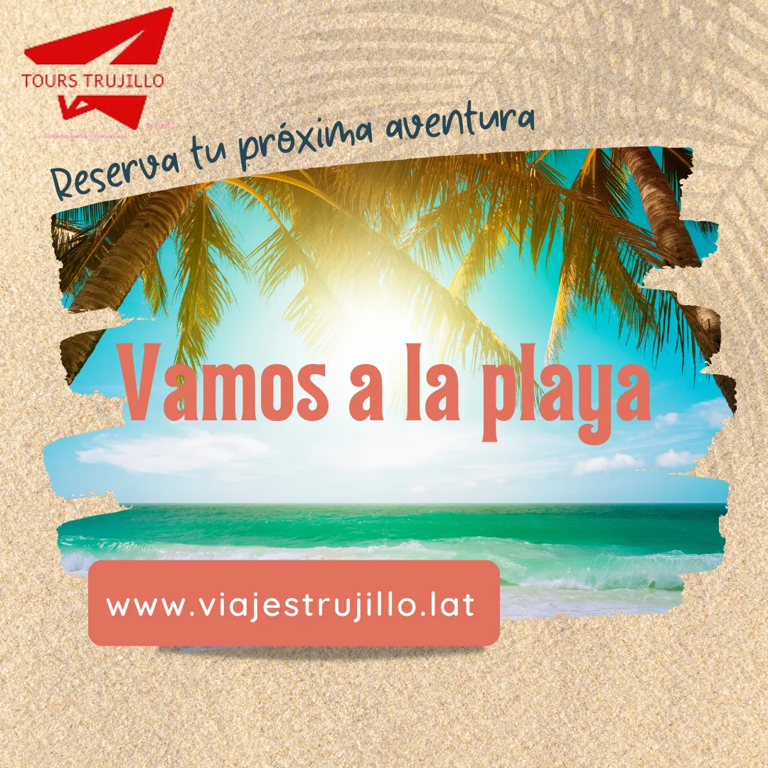Diseño 33