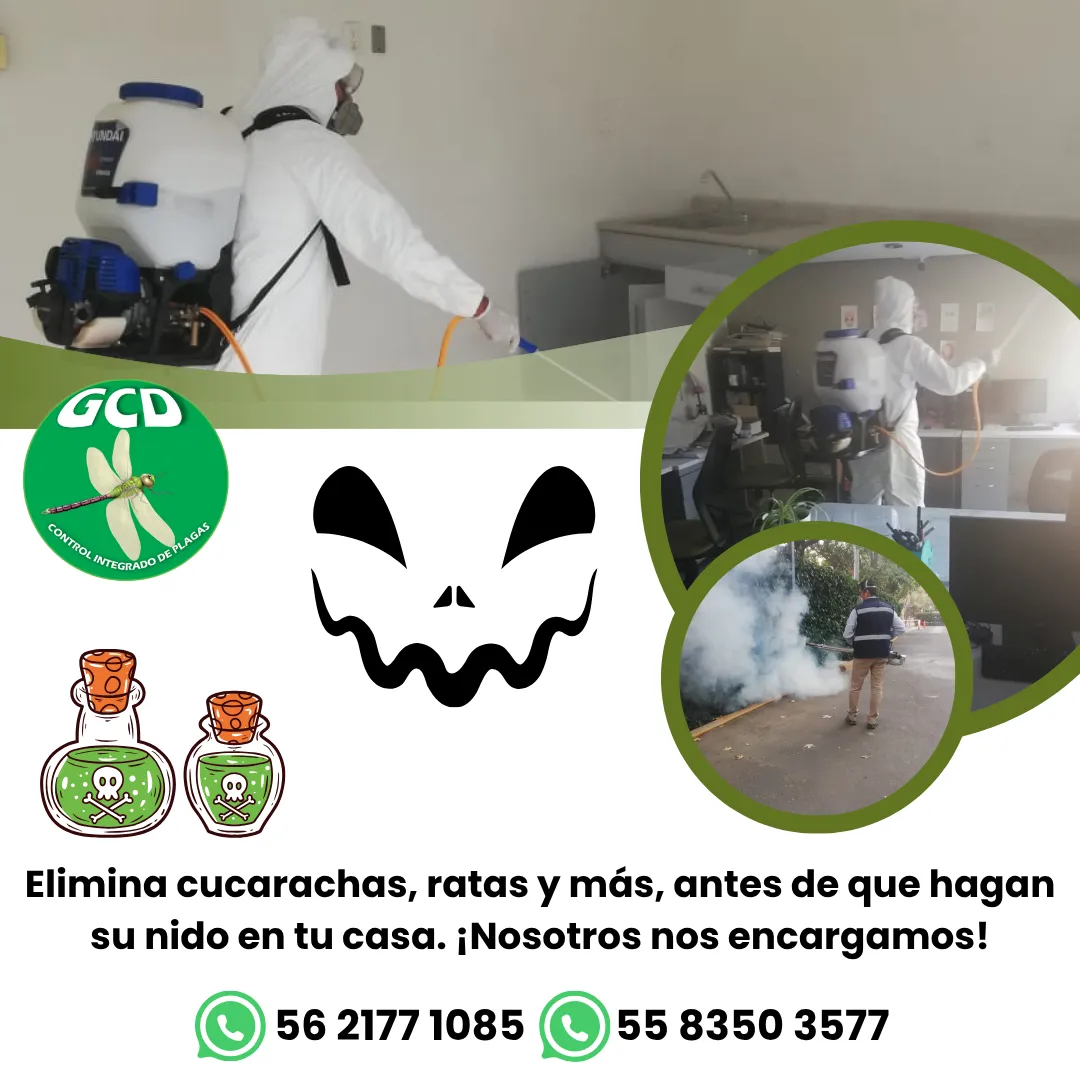 Diseño 118