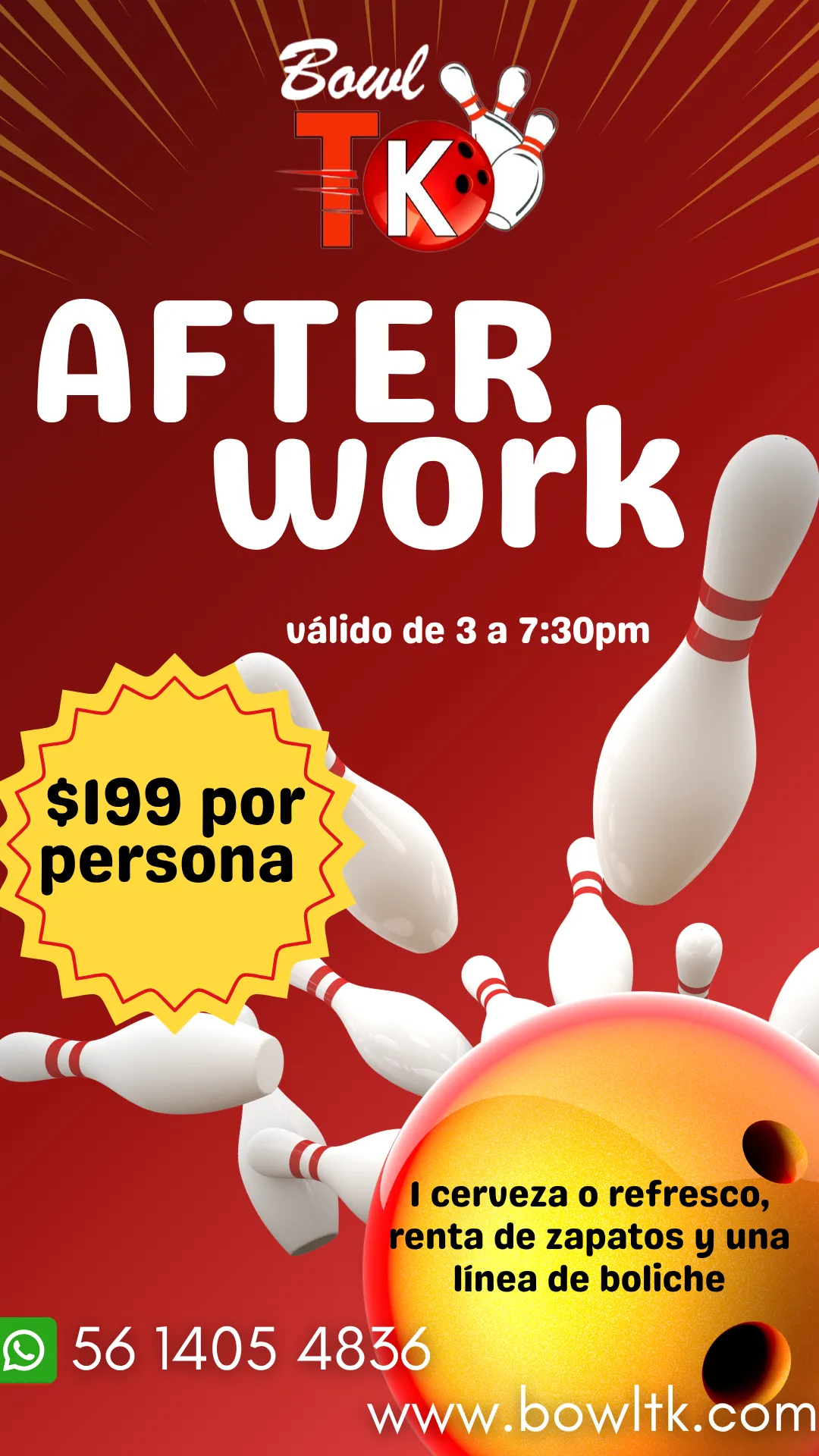 Diseño 61