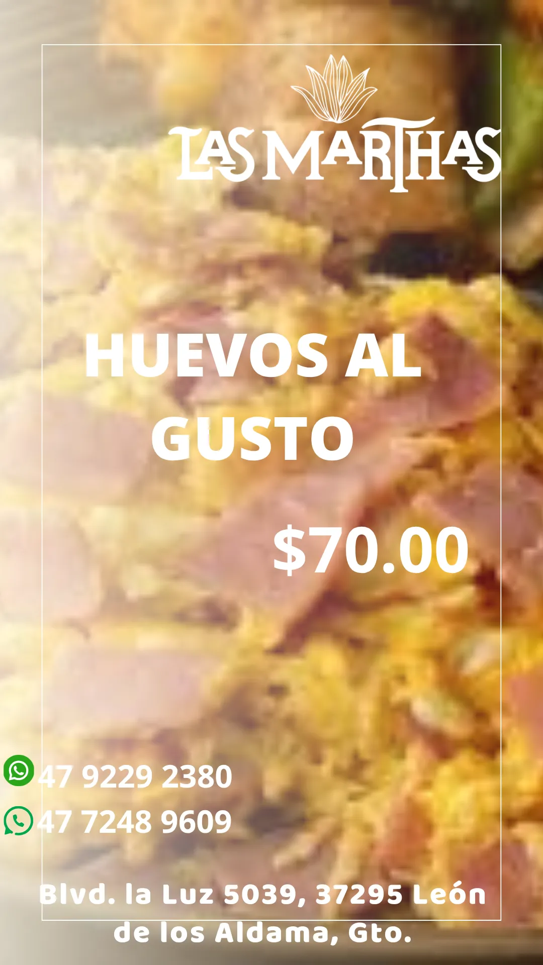 Diseño 101
