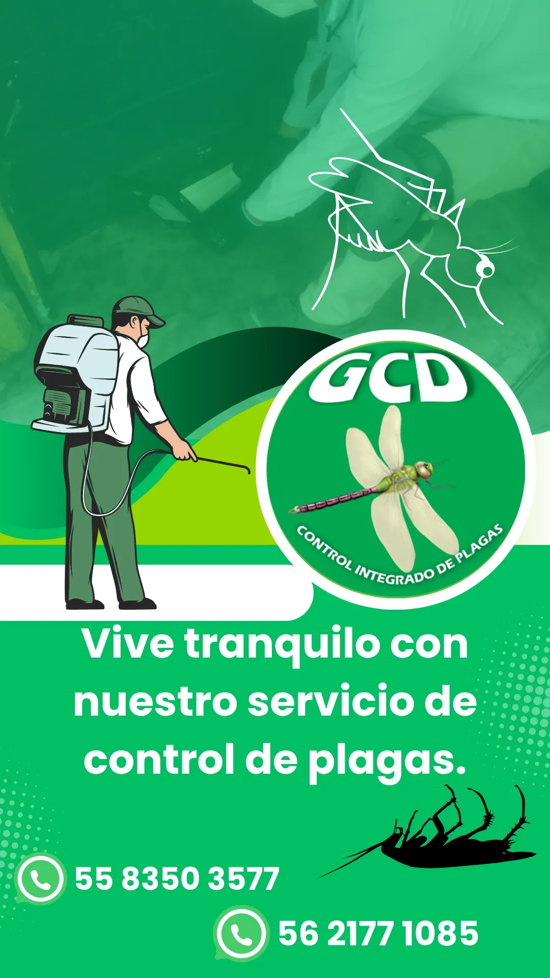 Diseño 2