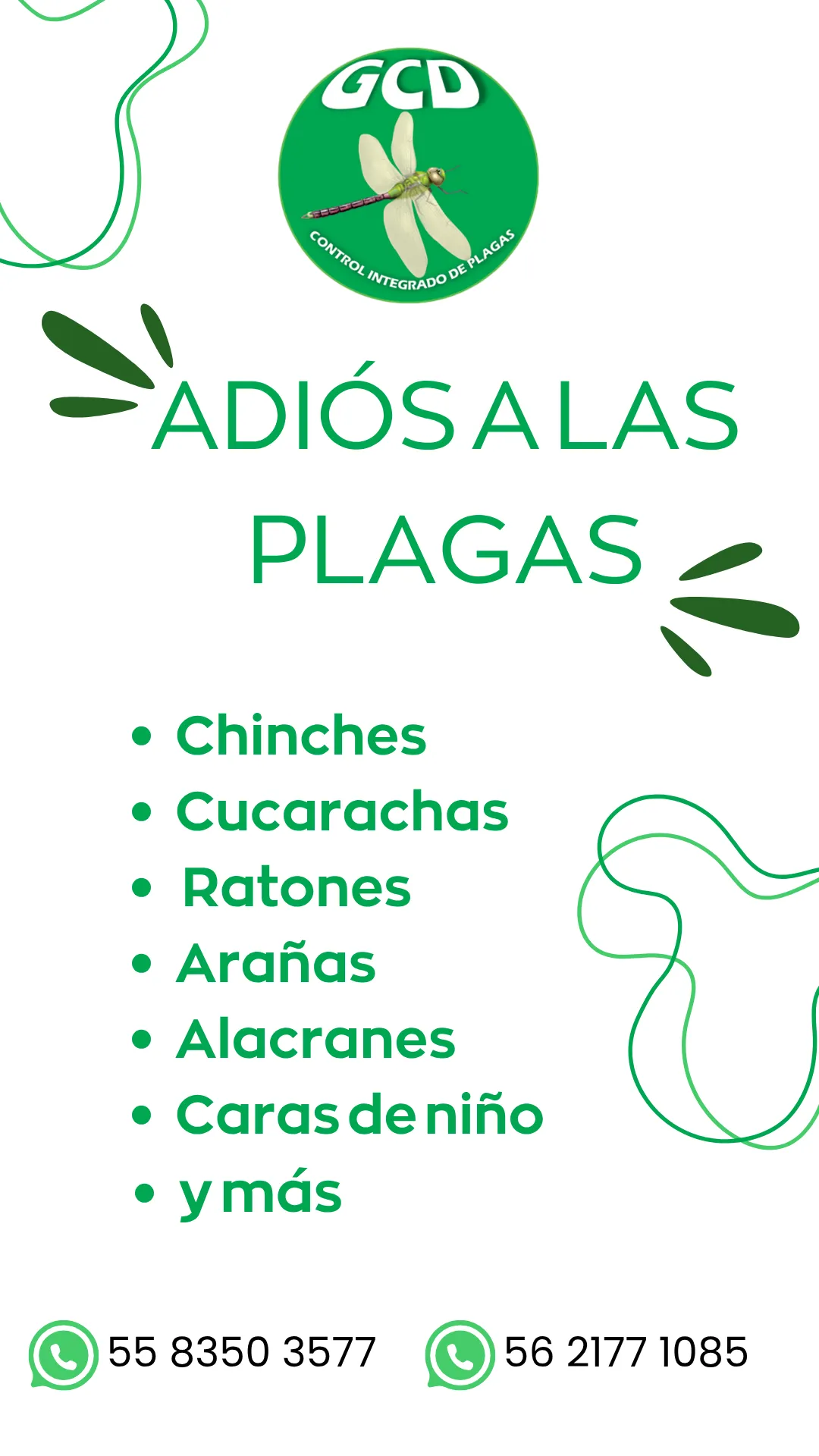 Diseño 36