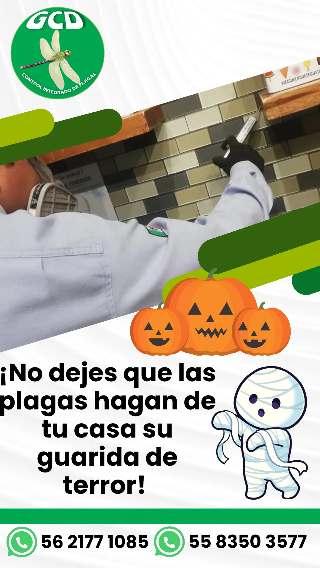 Diseño 105