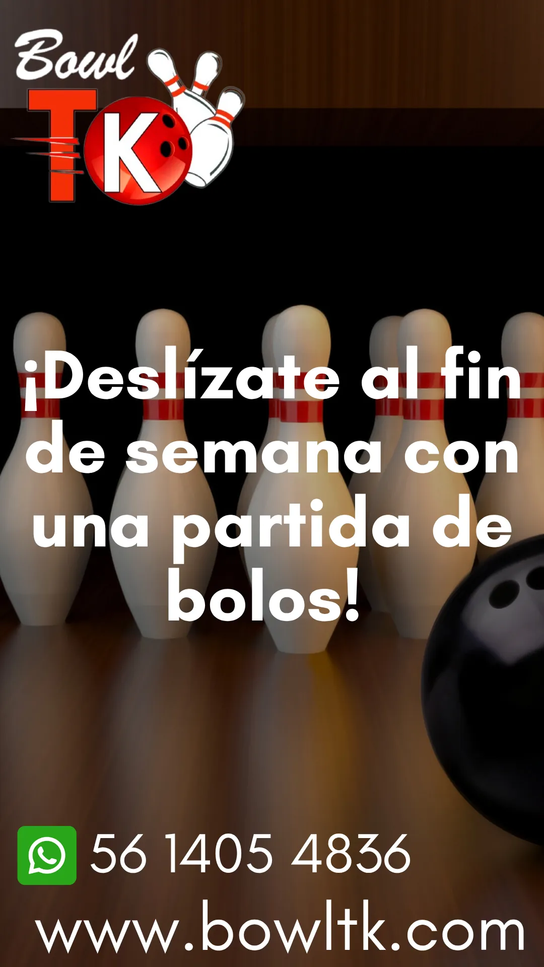 Diseño 146