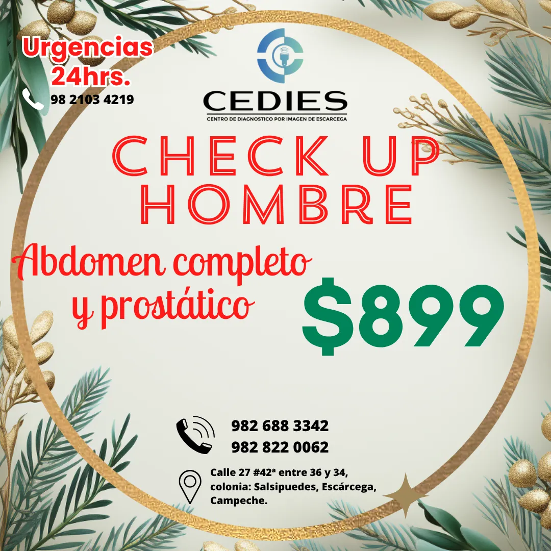 Diseño 88