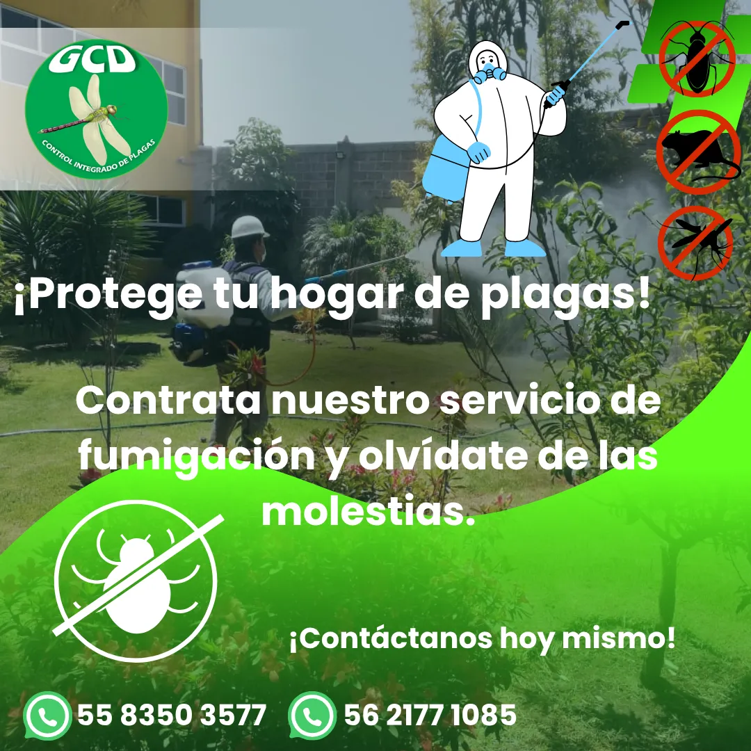 Diseño 72