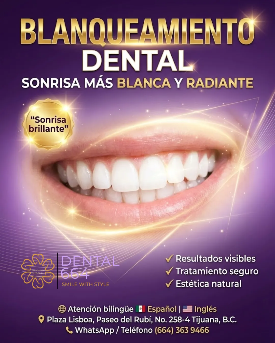 Diseño 24