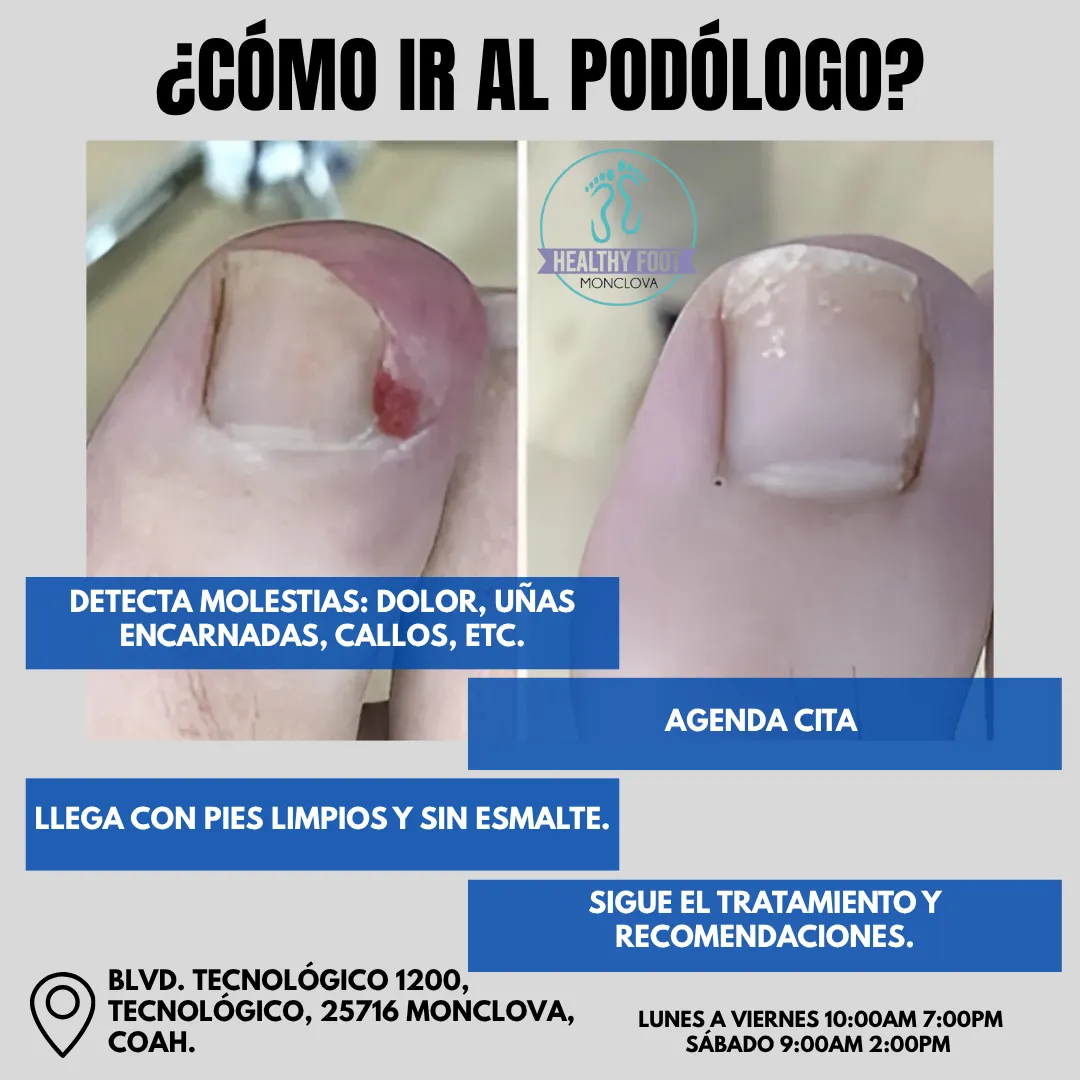 Diseño 135