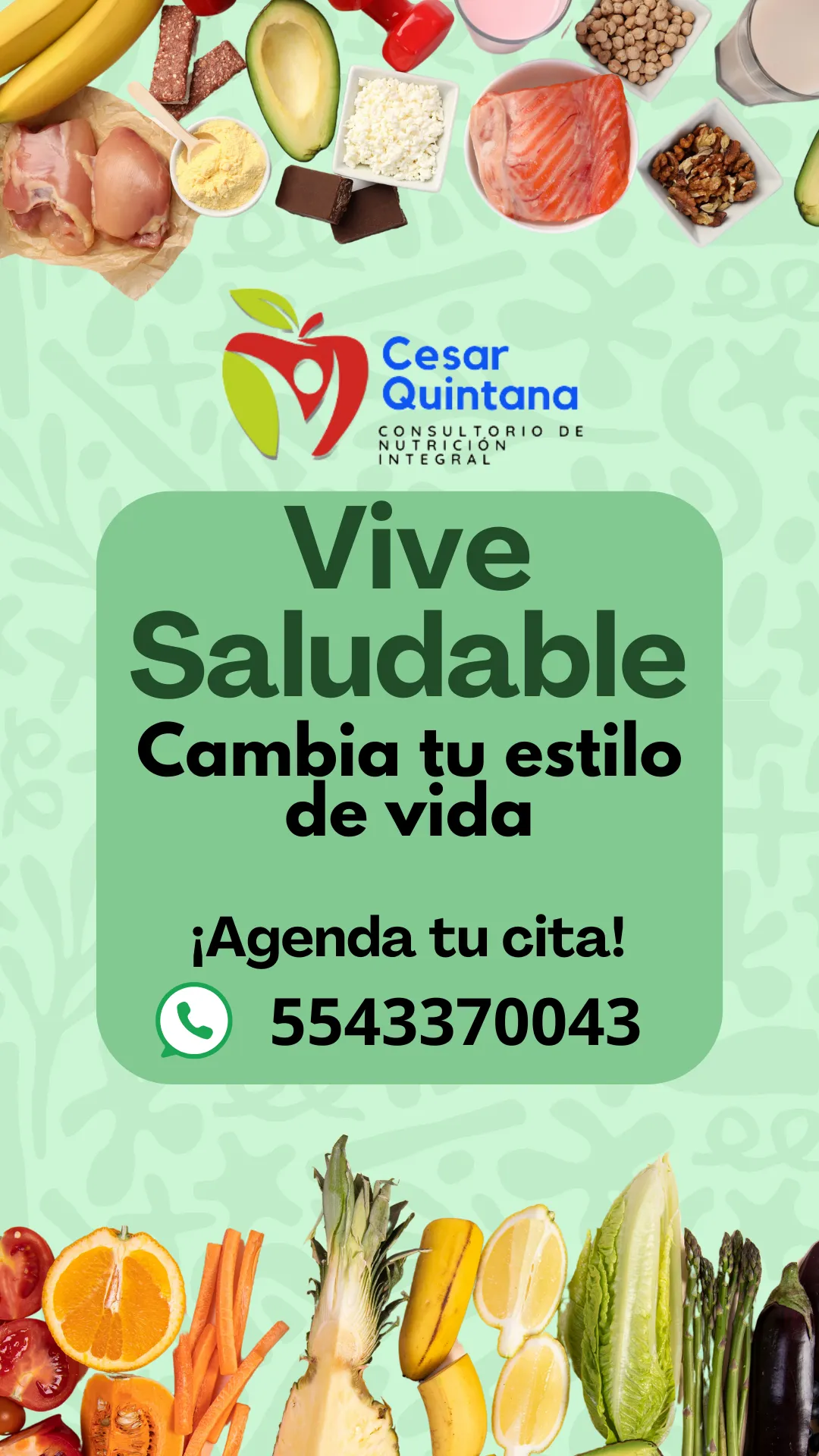 Diseño 66