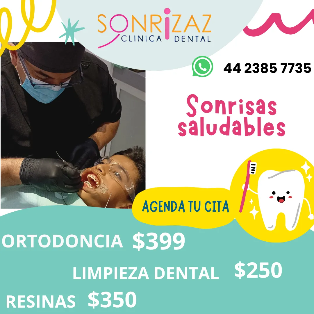 Diseño 65