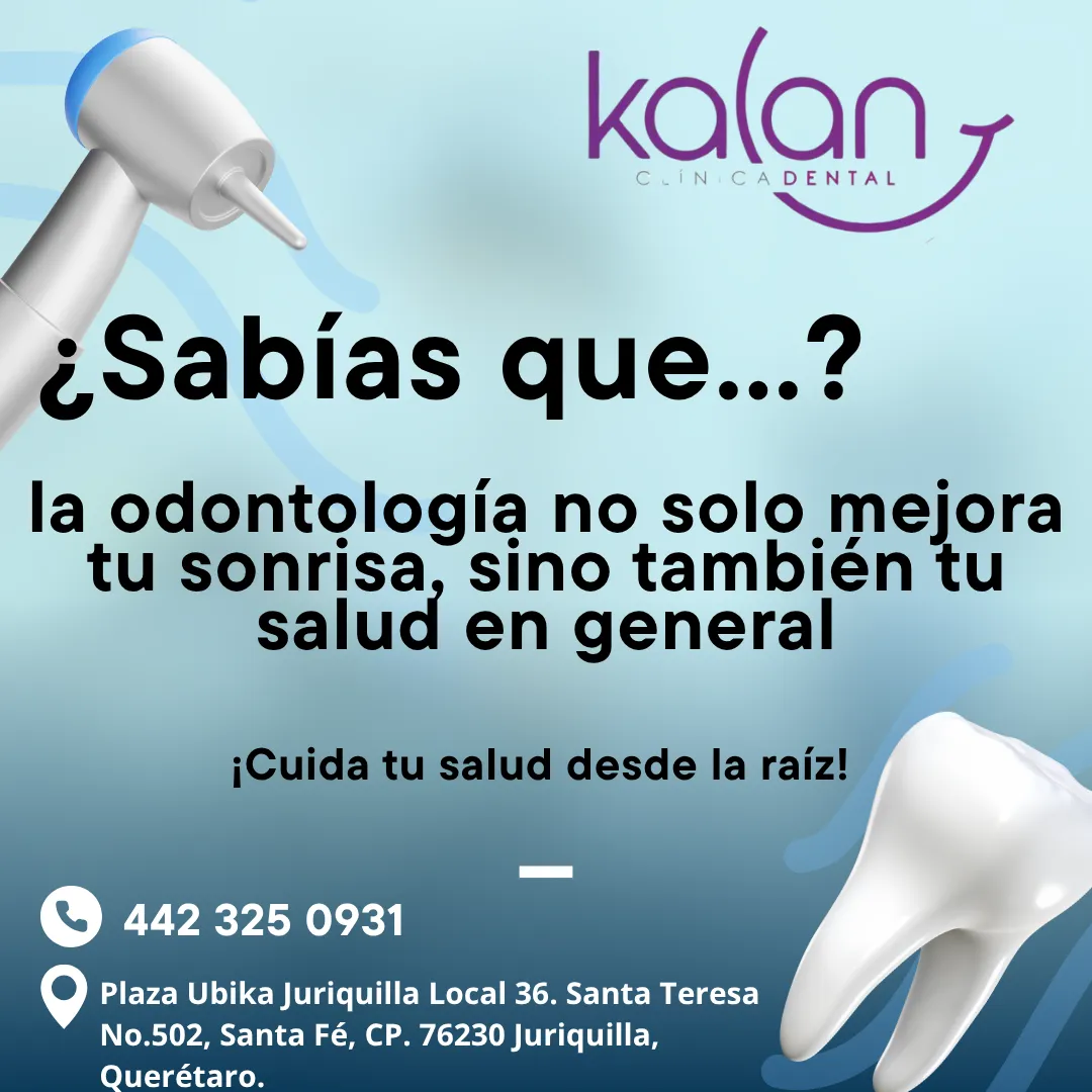Diseño 106